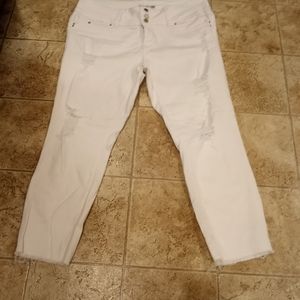 NEW YMI WOMEN'S JEANS